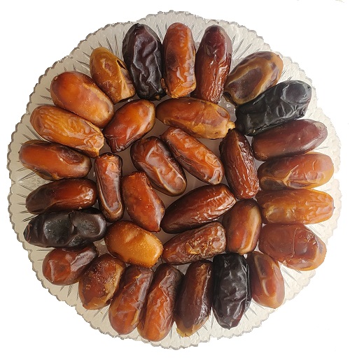 Shields Assorted Dates Plate 8oz
